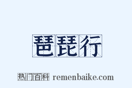 琶琵行是什么意思的图片